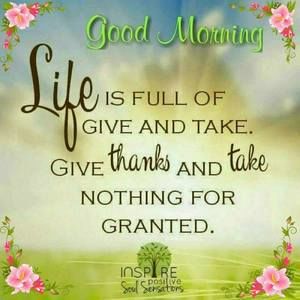 Meet your Posher, Niki